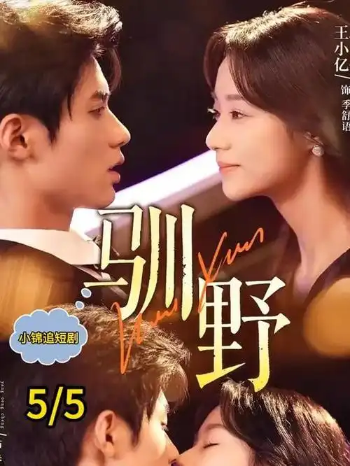 反诈风暴 悬疑 2024 张艺兴